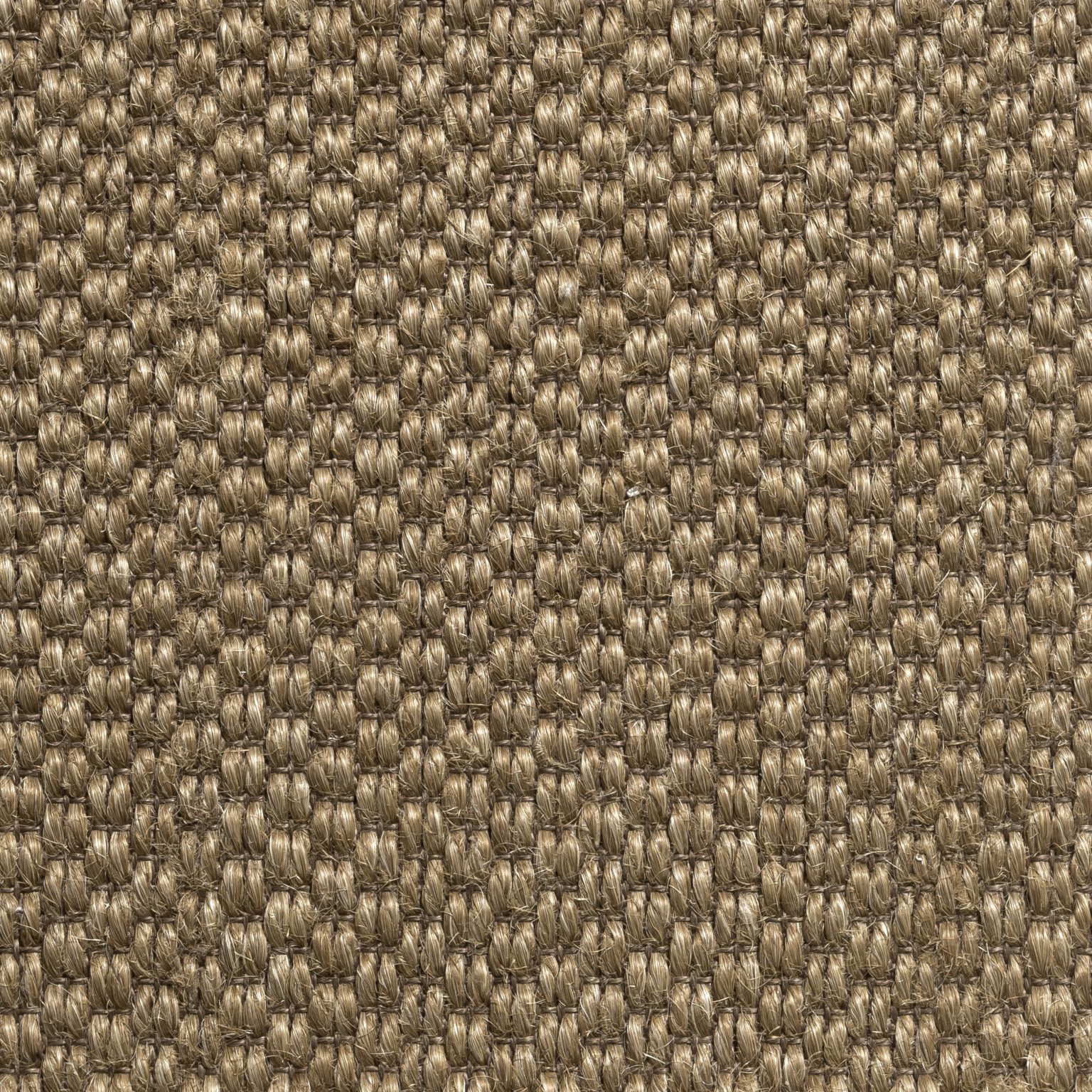 color tanuki-507-adoquin