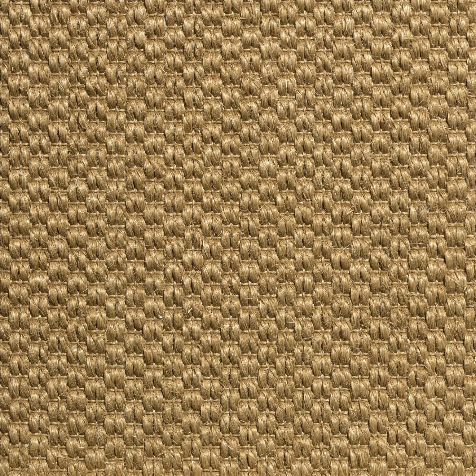 color tanuki-578-rye